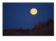 A Full Moon Rises Above The Mackenzie River Delta by Raymond Gehman Limited Edition Print