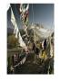 Prayer Flags Hang In The Breeze Below The Potala by Gordon Wiltsie Limited Edition Print