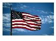 American Flag Flying At Full Mast, Cape Cod, Usa by Cheryl Conlon Limited Edition Print