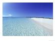 Bahamian Shoreline by Jan & Rhys Hanna Limited Edition Print