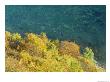 Aerial Of Cliff Overlooking Water, Jasmund National Park, Germany by Norbert Rosing Limited Edition Print