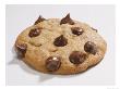 Chocolate Chip Cookie On White Background by Peter Johansky Limited Edition Print