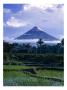 Mt. Mayon, One Of The Most Dangerous Volcanoes In The World, Above Rice Paddys, Albay, Philippines by John Pennock Limited Edition Pricing Art Print