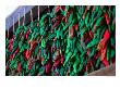 Green And Red Chillies Hanging Out To Dry Santa Fe, New Mexico, Usa by John Hay Limited Edition Print