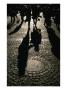 Shadows On Cobble-Stoned Rue Cler, Paris, France by Martin Moos Limited Edition Print