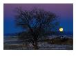 Moonrise Over The Landscape, Pueblo, Colorado, Usa by Jim Wark Limited Edition Print