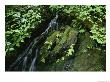 Waterfall On Deer Mountain Trail by Michael Melford Limited Edition Print