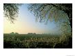 Hoarfrost, Farming Area Near Schwerin by Sisse Brimberg Limited Edition Print