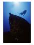 Diver Swimming Above Shipwreck by Wayne Brown Limited Edition Print