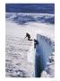 Climbers, Crevasse, Emmons Glacier, Mt. Rainier, Wa by Cheyenne Rouse Limited Edition Pricing Art Print