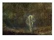 Dame Autumn Hath A Mournful Face by John Atkinson Grimshaw Limited Edition Pricing Art Print