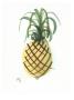 Pineapple by Frederick C. Czufin Limited Edition Pricing Art Print