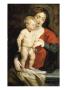 The Virgin And Child by Peter Paul Rubens Limited Edition Print
