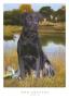 Black Lab by Robert Travers Limited Edition Print