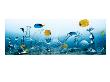 House & Garden - August 2006 by Frederik Lieberath Limited Edition Print
