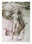Apollo, Circa 1501-04 by Albrecht Durer Limited Edition Print