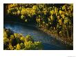 Elevated View Of A Sport Fisherman Fishing A Salmon River In The Fall by Paul Nicklen Limited Edition Print