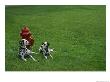 Two Dalmatians Sit On Green Grass Near A Red Fire Hydrant by Nadia M. B. Hughes Limited Edition Print