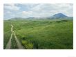 Tracks Through Rolling Meadowland Of The Sweet Grass Hills by Skip Brown Limited Edition Print