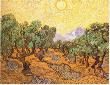 Olive Trees, 1889 by Vincent Van Gogh Limited Edition Print