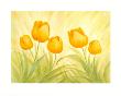 Fun Tulips by Susanne Bach Limited Edition Pricing Art Print