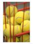 Tennis Balls In Caddie by Stewart Cohen Limited Edition Pricing Art Print
