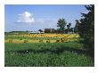 Amish Farms, Vernon County, Wisconsin by Joseph Fire Limited Edition Print