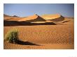 Sand Dunes In Namib Desert, Namibia by Walter Bibikow Limited Edition Print