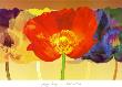 Poppy Tango by Robert Mertens Limited Edition Pricing Art Print