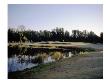 Eastwood Golf Course, Hole 15 by Stephen Szurlej Limited Edition Print