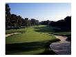 Baltusrol Golf Club, Hole 6 by Stephen Szurlej Limited Edition Print