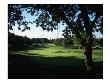 Olympia Fields Country Club North Course, Hole 10 by Stephen Szurlej Limited Edition Print