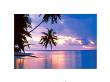 Maldives At Sunset by Chad Ehlers Limited Edition Print