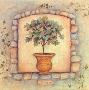 Figs Topiary by Susan Winget Limited Edition Pricing Art Print