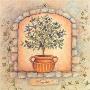 Olives Topiary by Susan Winget Limited Edition Pricing Art Print