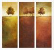 Tracey Lane Pricing Limited Edition Prints