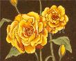 Sunshine Roses by Steff Green Limited Edition Print