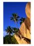 Granite Formations And Palm Trees, Seychelles by Ralph Lee Hopkins Limited Edition Print