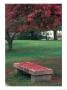 Crab Apple Trees In Prescott Park, New Hampshire, Usa by Jerry & Marcy Monkman Limited Edition Print