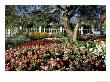 Garden At Prescott Park, New Hampshire, Usa by Jerry & Marcy Monkman Limited Edition Print