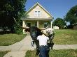 A Cowboy Struggles To Push Back His Bull On A Suburban Sidewalk by Joel Sartore Limited Edition Print