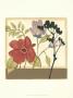 Garden Sophistication I by Jennifer Goldberger Limited Edition Pricing Art Print