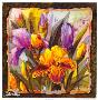 Heirloom Iris by Nancy Cawdrey Limited Edition Print