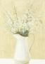 White Flowers In White Pitcher by David Col Limited Edition Print