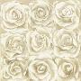 Nine White Roses by Marie Perpinan Limited Edition Print