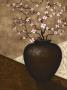 Cherry Blossom In Vase by Jo Parry Limited Edition Pricing Art Print