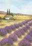 Soleil De Provence by Caroline Wenig Limited Edition Print