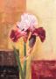 Beautiful Iris by Gabor Barthez Limited Edition Print