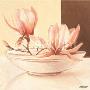 Bowl With Magnolia by Yves Blanc Limited Edition Pricing Art Print