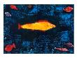 The Golden Fish, C.1925 by Paul Klee Limited Edition Pricing Art Print